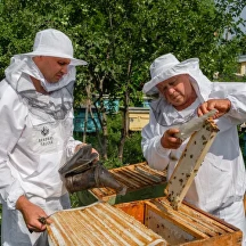 Вековая пасека