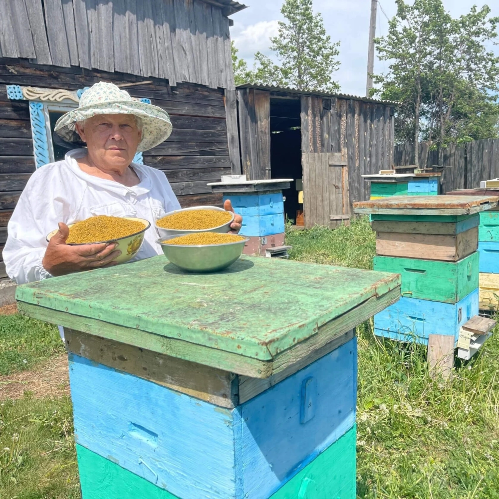 Цветочная пыльца Вековая пасека (Сбор 2026 г), одуванчик