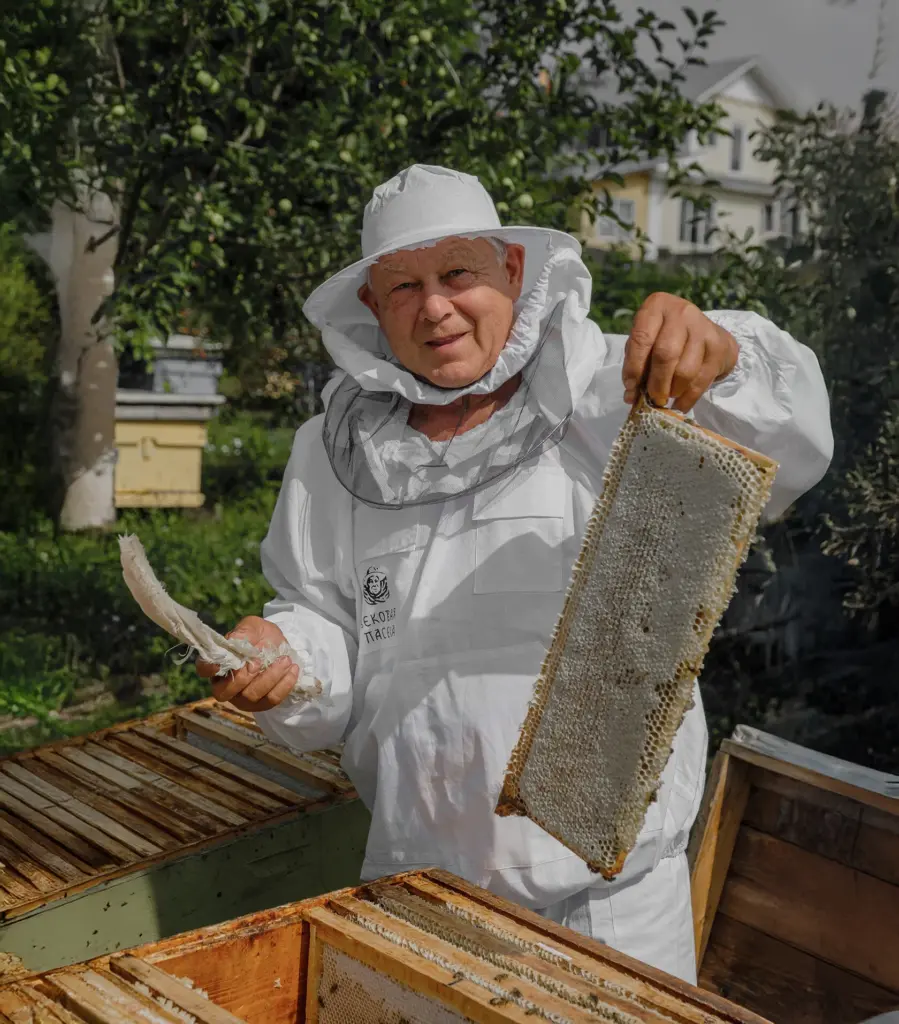 Вековая пасека