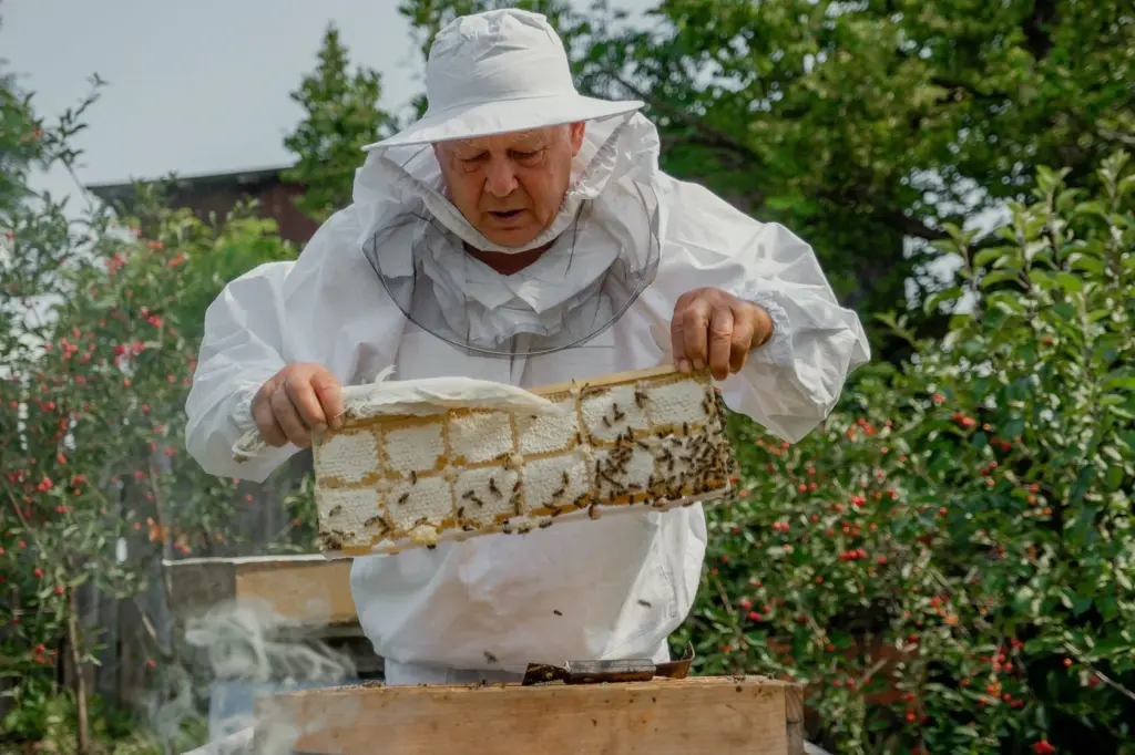 Вековая пасека