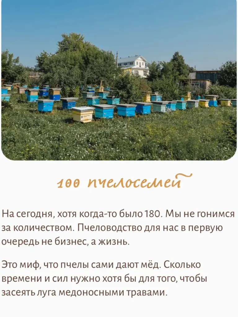 Гречишный мед Вековая пасека (В шкатулке из воска)