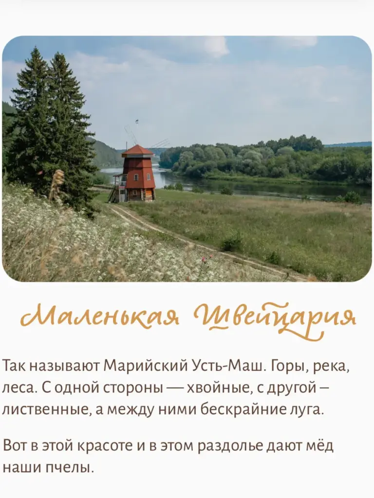 Гречишный мед Вековая пасека (В шкатулке из воска)