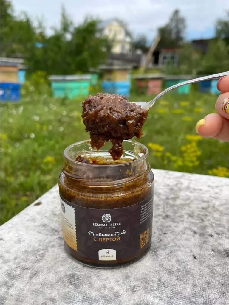 Мед с пергой Вековая пасека (В баночке) 350 г
