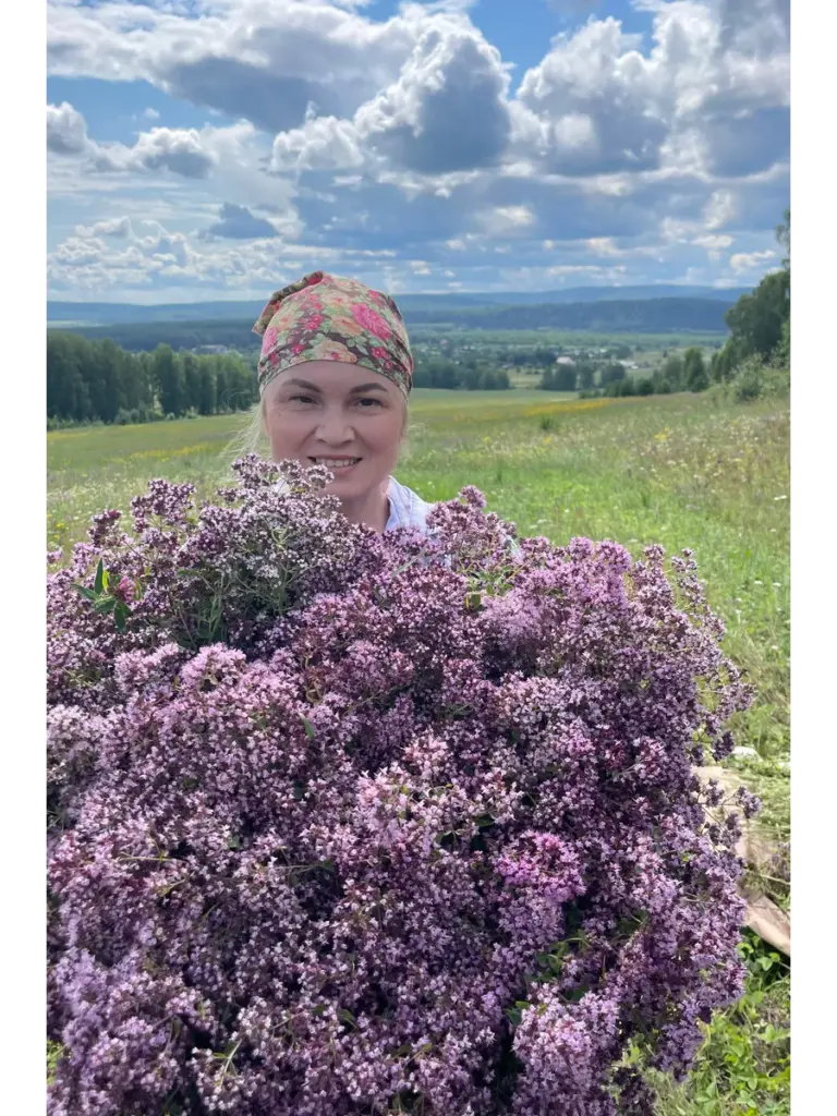 Уральские травы Душица Вековая пасека, пакет