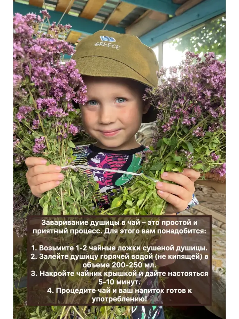 Уральские травы Душица Вековая пасека, пакет