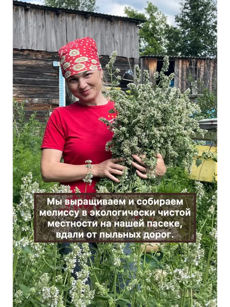 Уральские травы Мелисса Вековая пасека, пакет