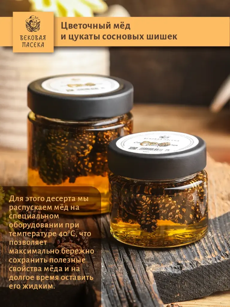 Мед цветочный с сосновыми шишками Вековая пасека 100 г